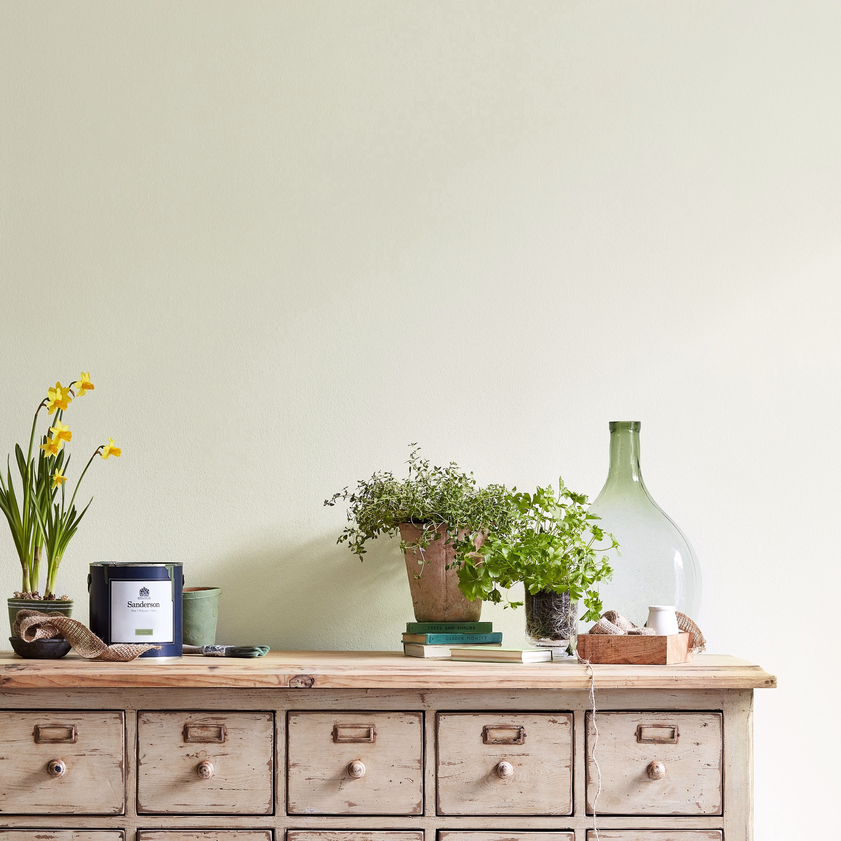 Краска Sanderson цвет White Willow Active Emulsion 5 л