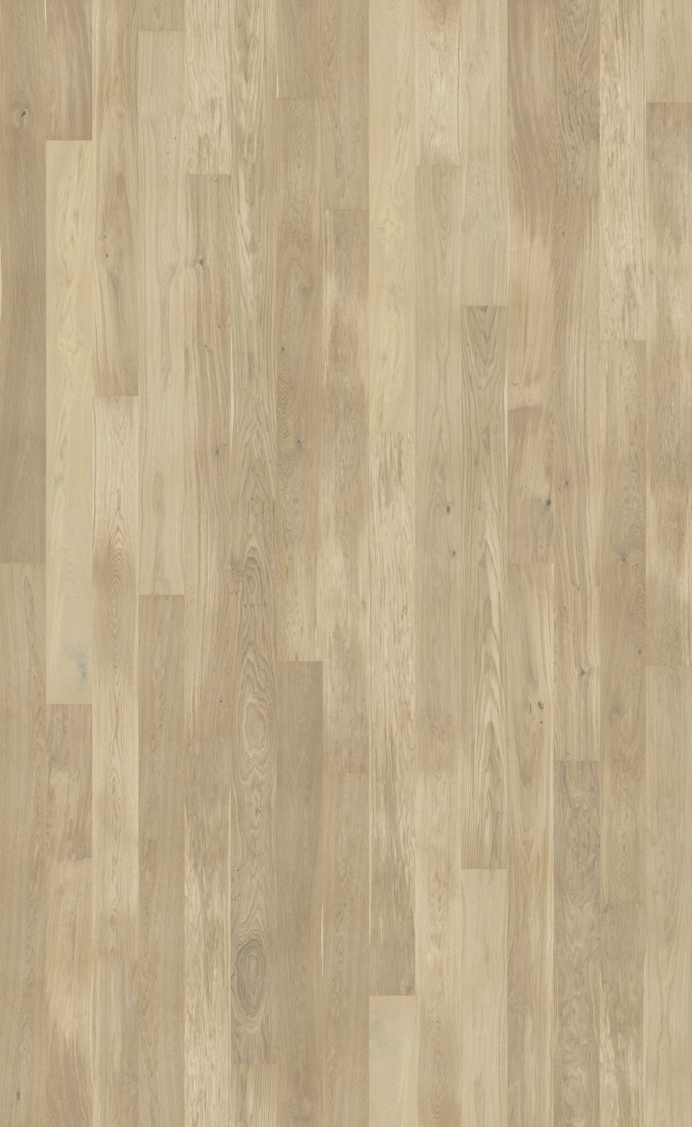 Паркетная доска Barlinek Tastes of Life дуб Cheesecake Grande 2200×180×14