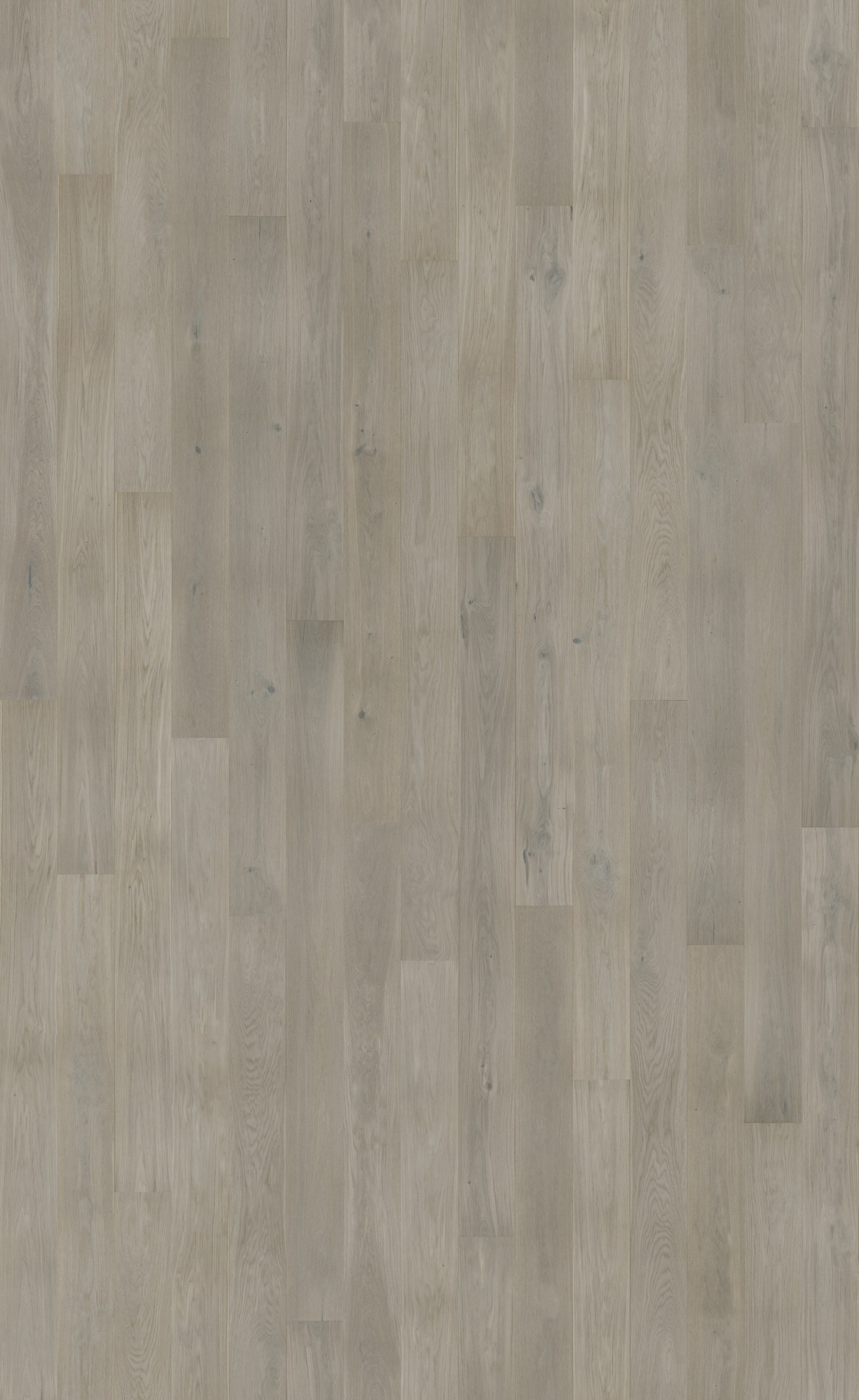 Паркетная доска Barlinek Tastes of Life дуб Marzipan Muffin Grande 2200×180×14