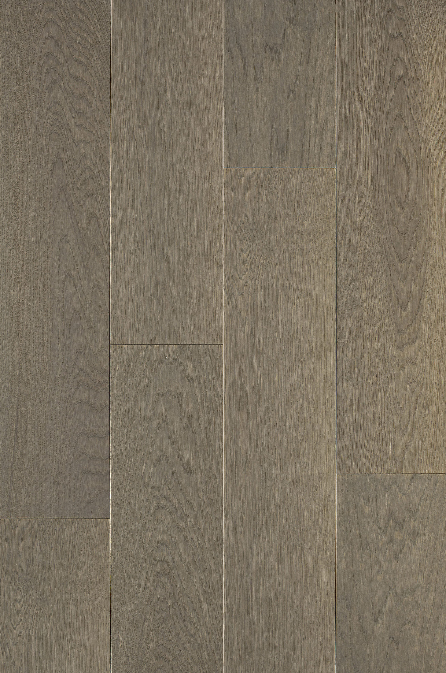 Паркетная доска Hajnowka Дуб Grey 1150×148×12,5 Паркетная доска Hajnowka Дуб Grey 1150×148×12,5