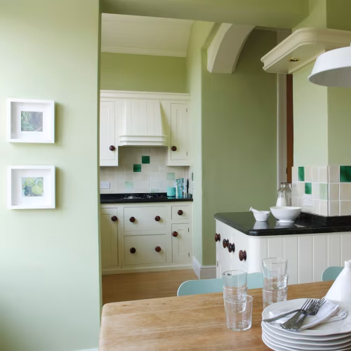 Краска Little Greene цвет Eau-de-Nil 90 Intelligent Matt 1 л