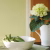 Краска Little Greene цвет Eau-de-Nil 90 Intelligent Matt 1 л