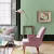 Краска Little Greene цвет Pea Green 91 Intelligent Masonry 5 л