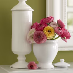 Краска Little Greene цвет Pale Lime 70
