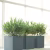 Краска Little Greene цвет Juniper Ash 115 Absolute Matt 0,25 л