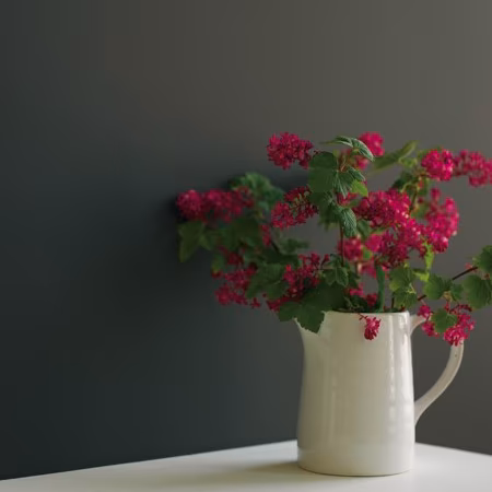 Краска Little Greene цвет Purple Brown 8 Intelligent Satin 2,5 л