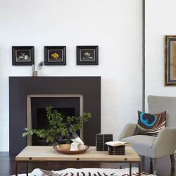 Краска Little Greene цвет Chocolate Colour 124
