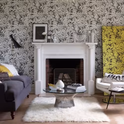 Обои Little Greene 20th Century Papers Fern - Off Black 0280FEOFFBL
