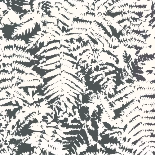 Обои Little Greene 20th Century Papers Fern - Off Black 0280FEOFFBL