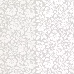 Обои Little Greene Painted Papers Carlisle Street - Gentle Grey 0286CTGENTL