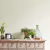 Краска Sanderson цвет Cameo White Eggshell 1 л