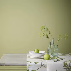 Краска Sanderson цвет Green Almond 