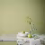 Краска Sanderson цвет Green Almond Active Emulsion 0,2 л