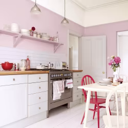 Краска Sanderson цвет Light Rose Active Emulsion л