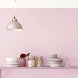 Краска Sanderson цвет Light Rose Active Emulsion л