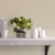 Краска Sanderson цвет Quill Grey Eggshell 1 л