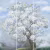 Панно Affresco Trend Art AK476-COL1 2x2,01 м