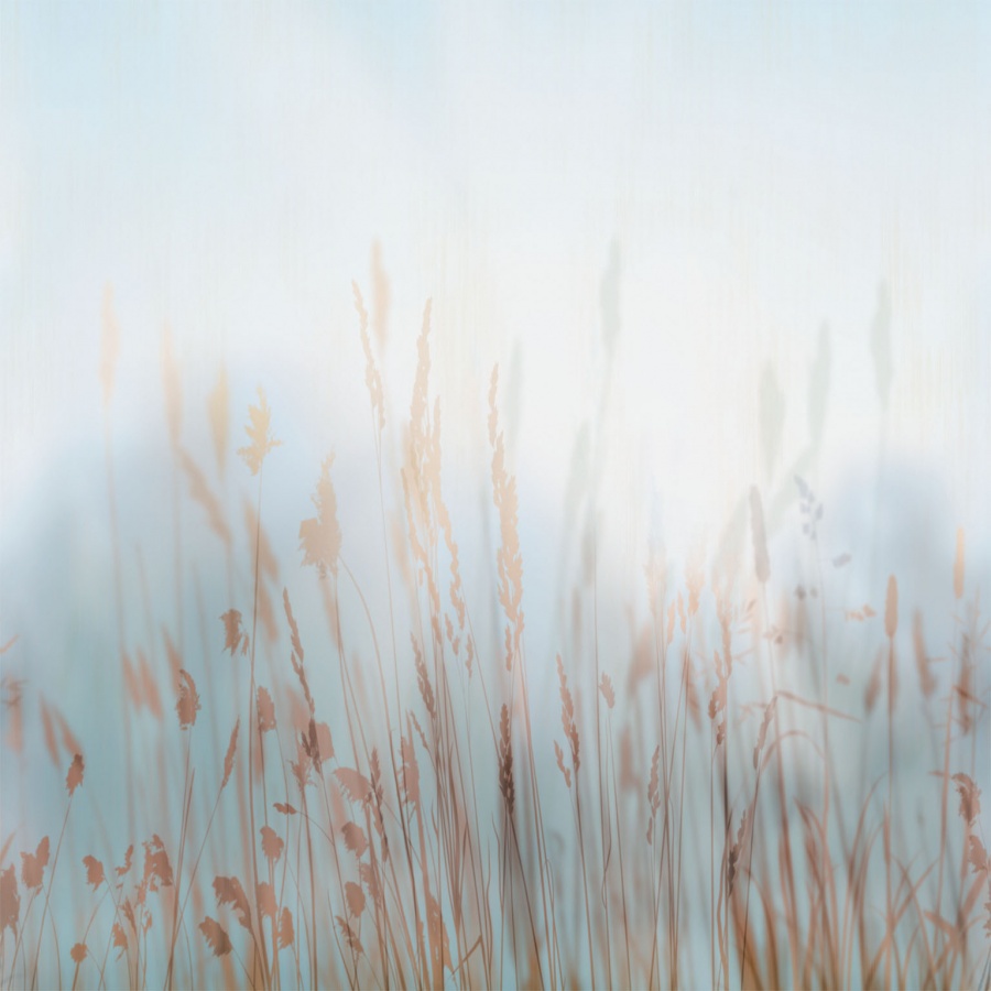 Панно Affresco Trend Art ZK420-COL2 2x2,01 м