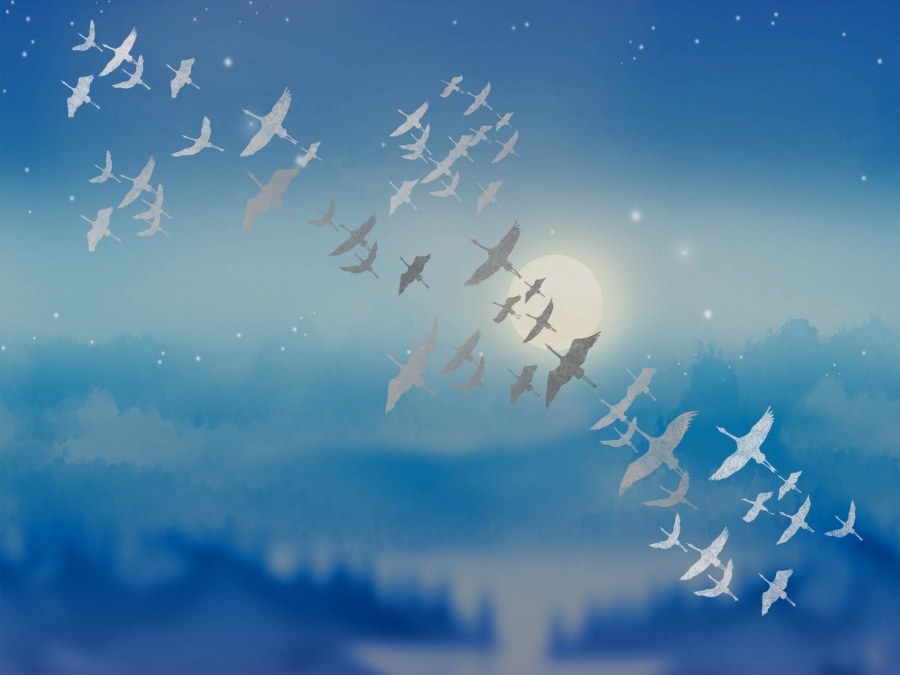 Панно Affresco Trend Art ZK444-COL1 2x2,68 м