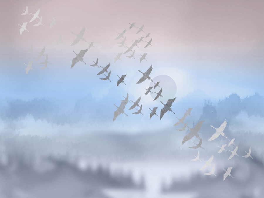 Панно Affresco Trend Art ZK444-COL2 2x2,68 м