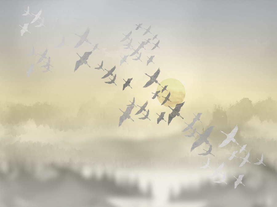 Панно Affresco Trend Art ZK444-COL4 2x2,68 м