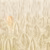 Панно Affresco Trend Art JV415-COL4 2x2,68 м