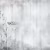 Панно Affresco Trend Art DP410-COL1 2x2,68 м