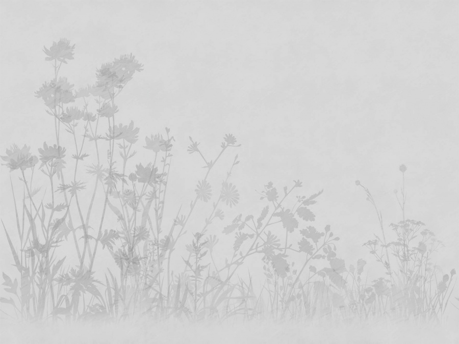 Панно Affresco Trend Art ZK432-COL1 2x2,68 м