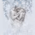 Панно Affresco Exclusive AB303-COL4 2x2,01 м