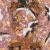 Панно Affresco Exclusive AB326-COL4 2x2,01 м