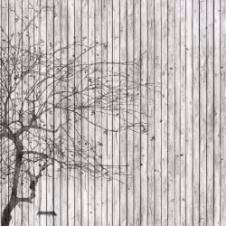 Панно Affresco Re-Space IV109-COL1 2x2,68 м