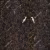 Панно Affresco Atmosphere AF505-COL1 2x2,01 м