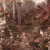 Панно Affresco Fine Art RE912-COL4 2x2,68 м