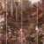Панно Affresco Fine Art RE912-COL4 2x2,68 м