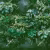 Панно Affresco Fine Art RE908-COL3 2x2,68 м