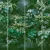 Панно Affresco Fine Art RE908-COL3 2x2,68 м
