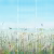Панно Affresco Wallpaper Part 1 Flower Field JV41-COL1 2x2,01 м