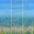 Панно Affresco Wallpaper Part 1 Flower Field JV41-COL2 2x2,01 м