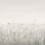 Панно Affresco Wallpaper Part 1 Flower Field JV41-COL4 2x2,01 м