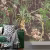 Панно Affresco Wallpaper Part 1 Monkeys AF959-COL4 2x2,01 м фото в интерьере