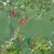 Панно Affresco Wallpaper Part 1 Summer Day AF957-COL1 2x2,01 м