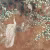 Панно Affresco Wallpaper Part 1 White Birds AB124-COL2 2x3,35 м