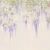 Панно Affresco Wallpaper Part 2 Wisteria in Bloom AB53-COL2 2x2,68 м