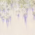 Панно Affresco Wallpaper Part 2 Wisteria in Bloom AB53-COL2 2x2,68 м