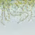 Панно Affresco Wallpaper Part 2 Grape DG36-COL3 2x2,68 м