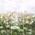 Панно Affresco Wallpaper Part 2 Rose Garden AB59-COL1 2x2,01 м