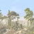 Панно Affresco Wallpaper Part 2 Italian Scenery AF742-COL1 2,4x4,6 м