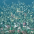Панно Affresco Wallpaper Part 2 Paradise Garden AF960-COL3 2x2,01 м