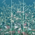 Панно Affresco Wallpaper Part 2 Paradise Garden AF960-COL3 2x2,01 м