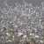 Панно Affresco Wallpaper Part 2 Paradise Garden AF960-COL4 2x2,01 м